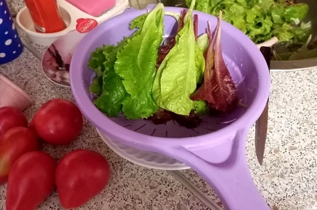 Летом на столе всегда свежий урожай