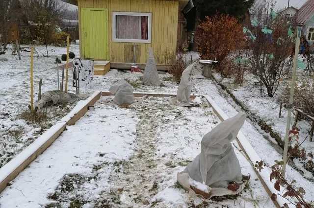 Самые ценные культуры можно замотать укрывным материалом.