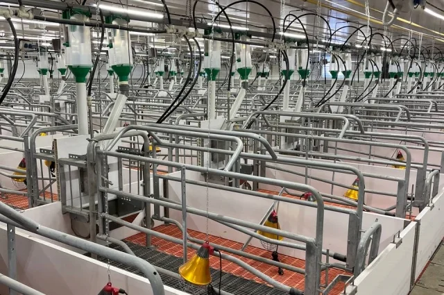 Продукция завода помогает выращивать животных в комфортных для них условиях.