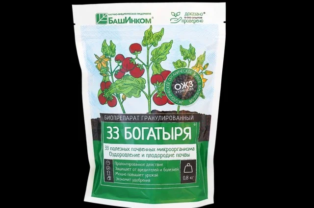 33 богатыря