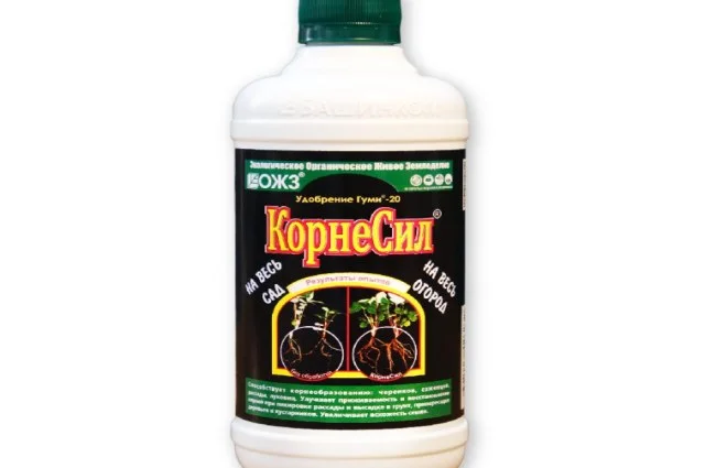 КорнеСил