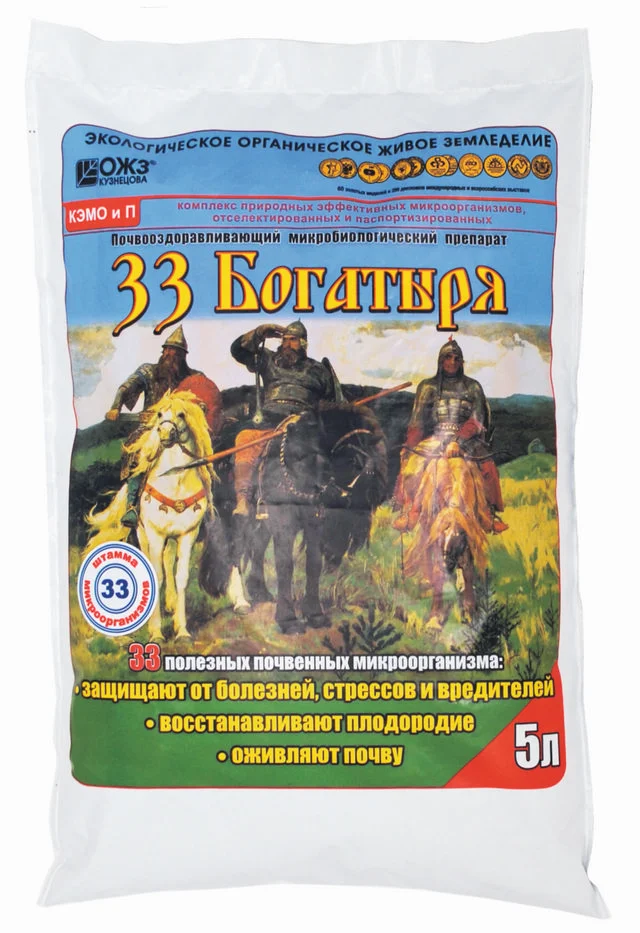 башинком