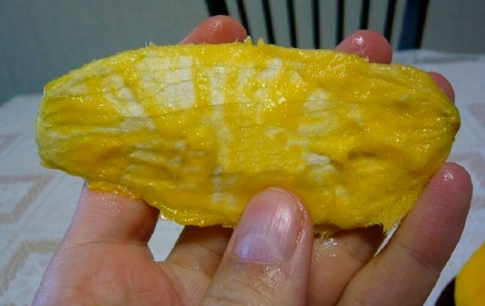 Рисунок - Как вырастить манго из косточки Рисунок - Как вырастить манго из косточки